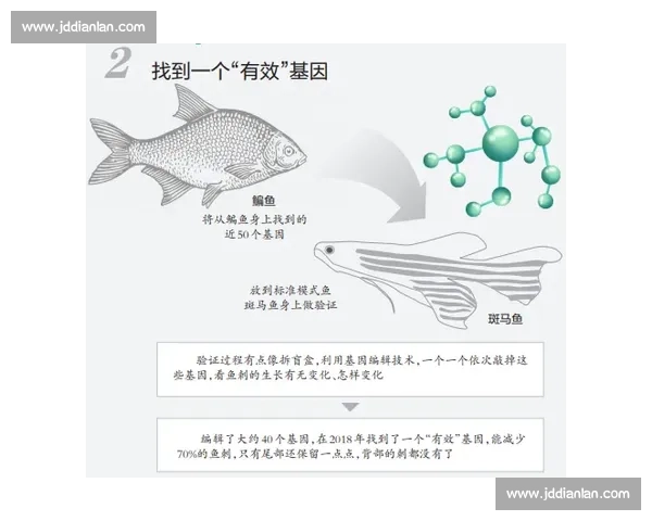 围绕vs是谁展开的真相解析与人物背景全面揭秘来龙去脉深度解读